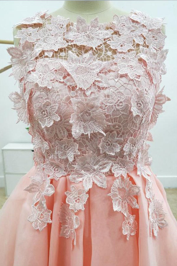 Elegant A-line Lace Tulle Short Homecoming Dress