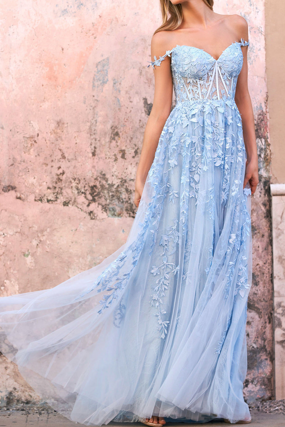 Elegant Floral Lace Off-the-shoulder Tulle Prom Dress